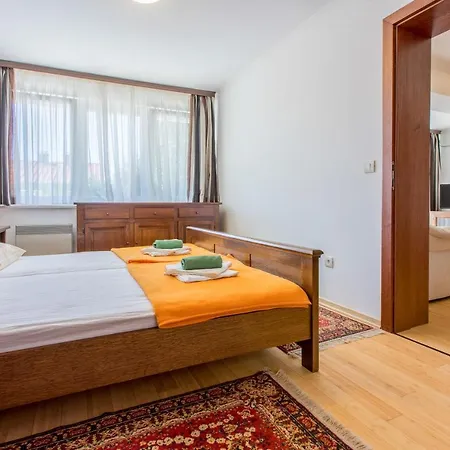 Apartman Robic *