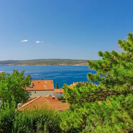 Apartman Robic