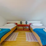 Apartment Robic *